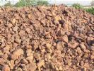 Rock Phosphate Rpp For Organic Fertilizer P2o5 32% Bpl